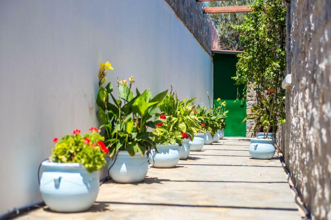Villa Helios Kalathos Exterior photo